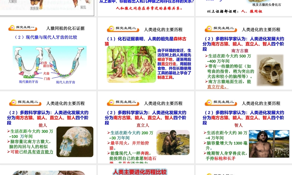 第四节人类的起源和进化