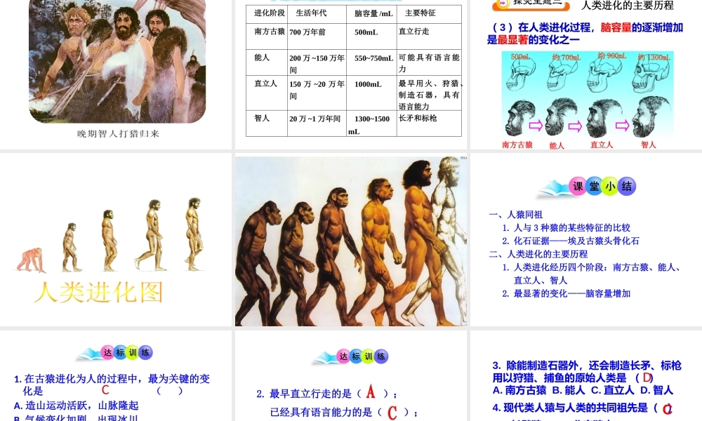 第四节人类的起源和进化