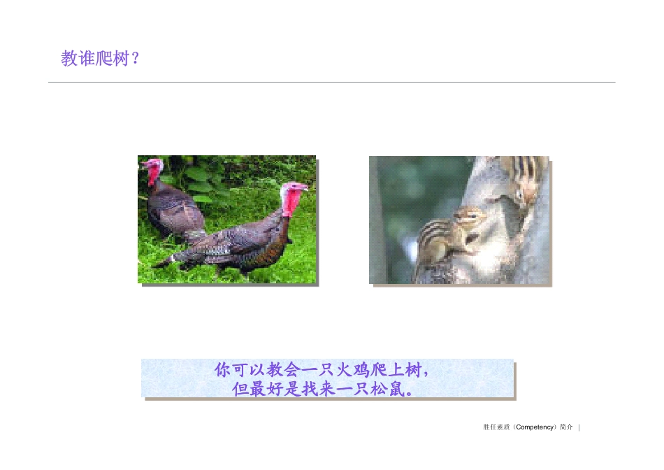 胜任能力模型讲义_第2页