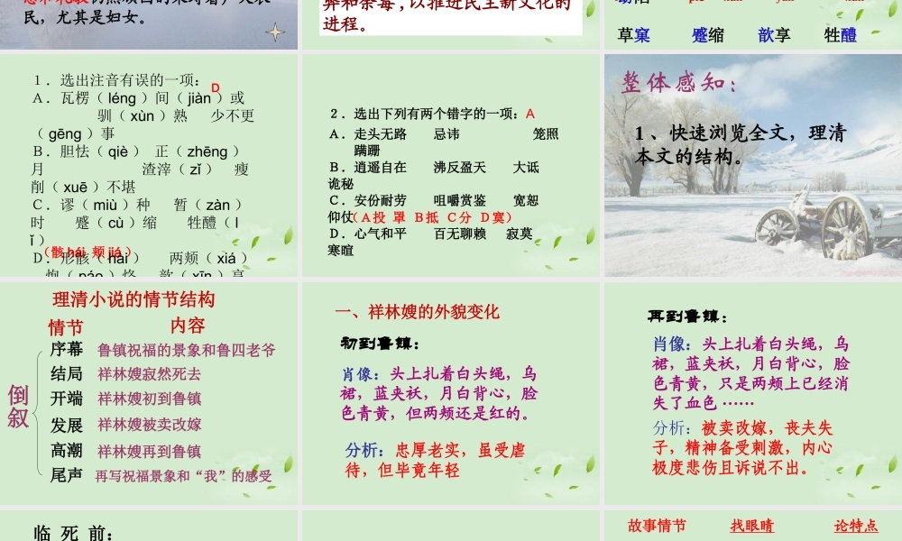 高中语文 (祝福)课件 苏教版必修2 课件