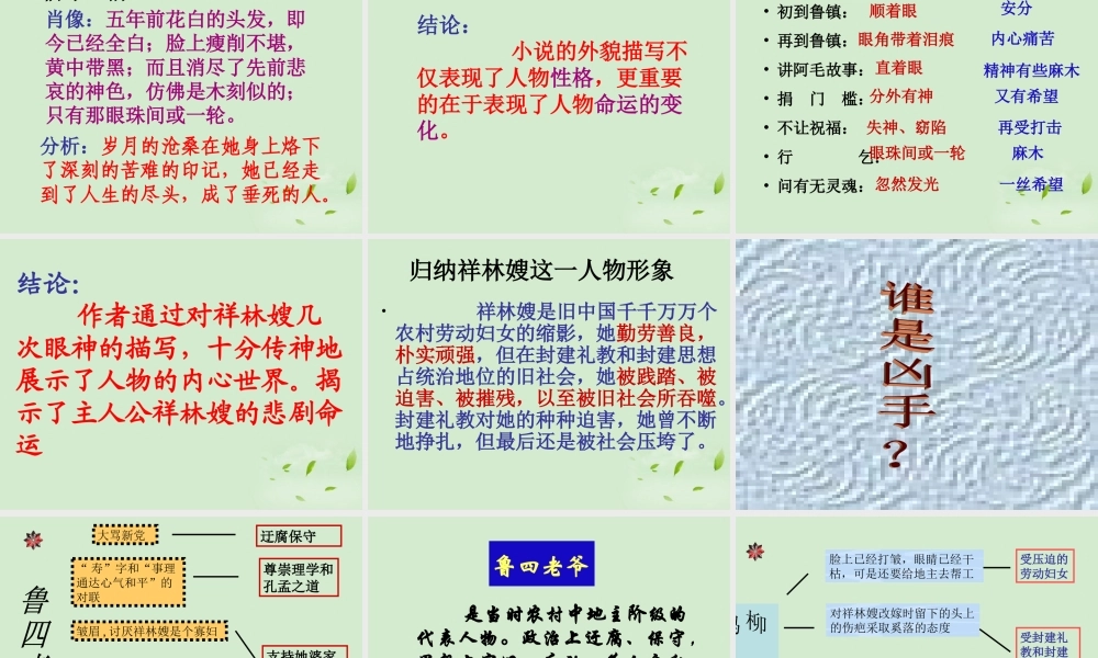 高中语文 (祝福)课件 苏教版必修2 课件