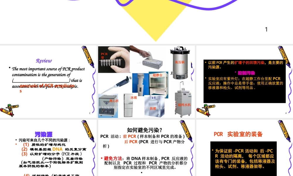 PCR英文课件