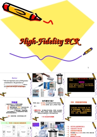 PCR英文课件