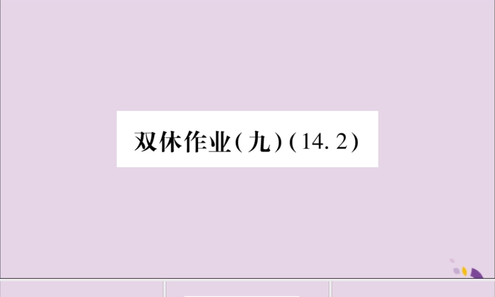 秋八年级数学上册 双休作业(九)习题课件 (新版)沪科版 课件