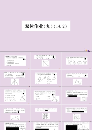 秋八年级数学上册 双休作业(九)习题课件 (新版)沪科版 课件