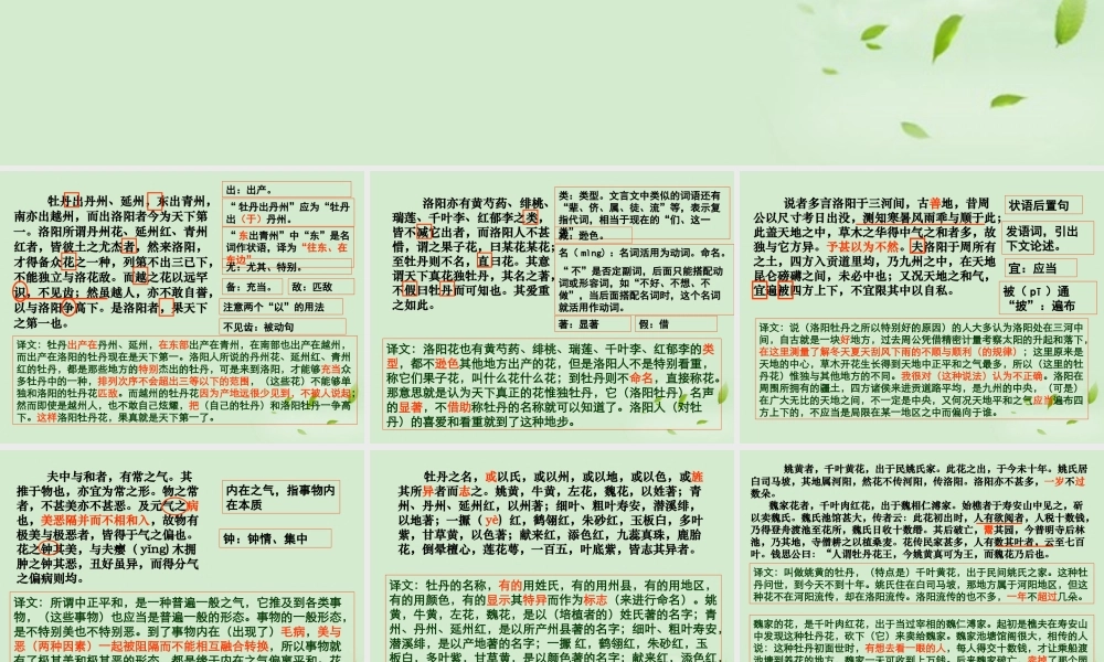 高中语文集体备课资料 39(洛阳牡丹记)课件 北京版必修1 课件