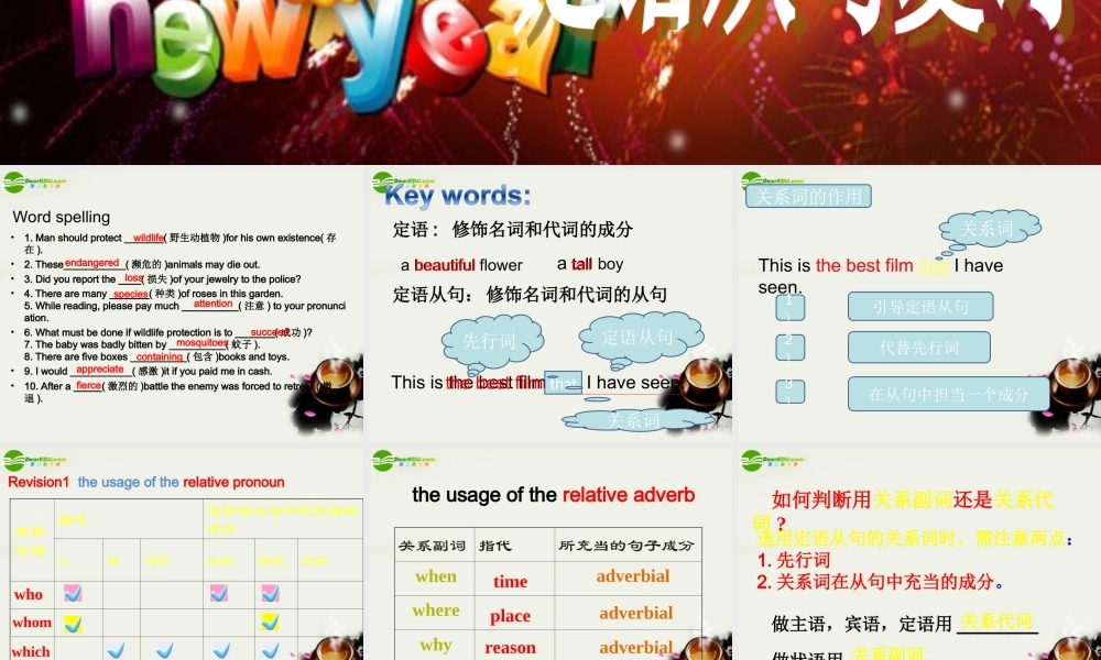 高中英语 定语从句复习课件 新人教版必修1 课件