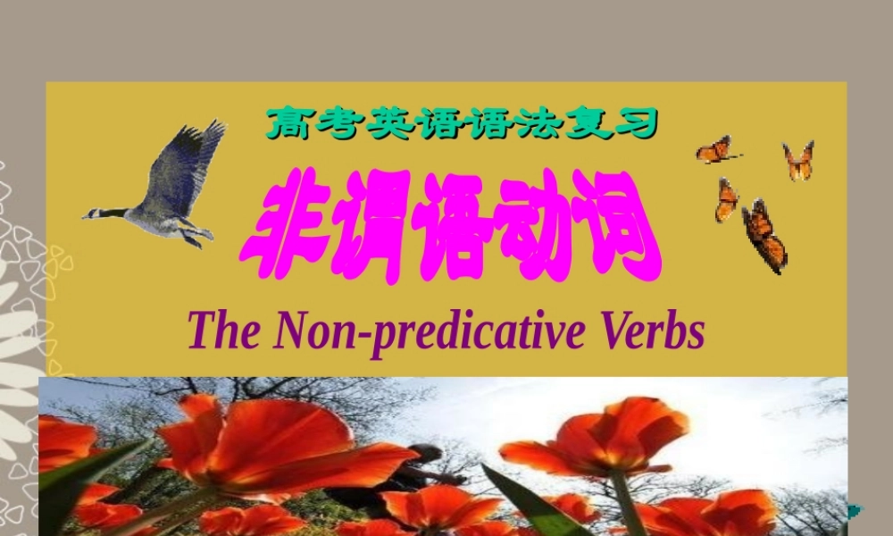高考英语复习 非谓语动词8精品课件
