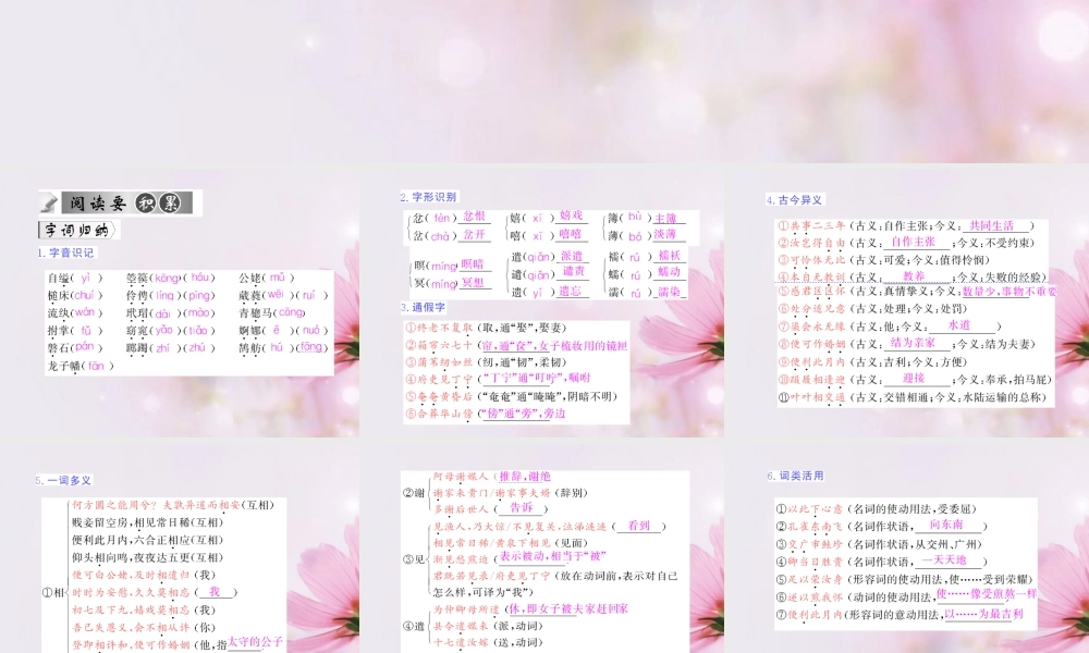 高中语文 孔雀东南飞2课件 新人教版必修2 课件