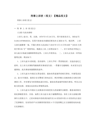 刑事上诉状(范文)【精品范文】