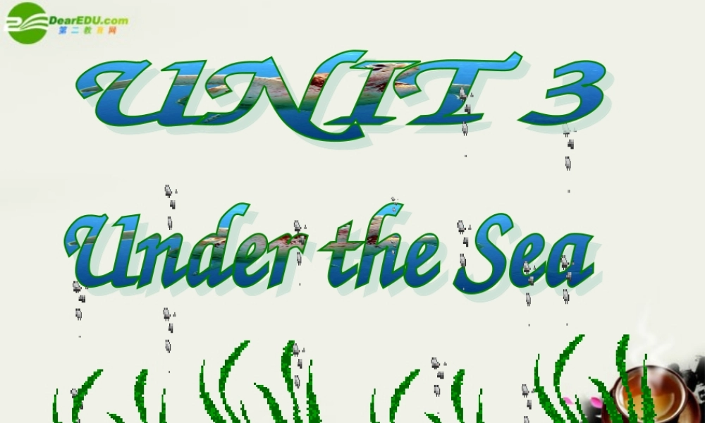 高中英语 unit3 Under the Sea reading-- OLD TOM THE KILLER WHALE课件 新人教版选修7 课件