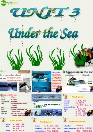 高中英语 unit3 Under the Sea reading-- OLD TOM THE KILLER WHALE课件 新人教版选修7 课件