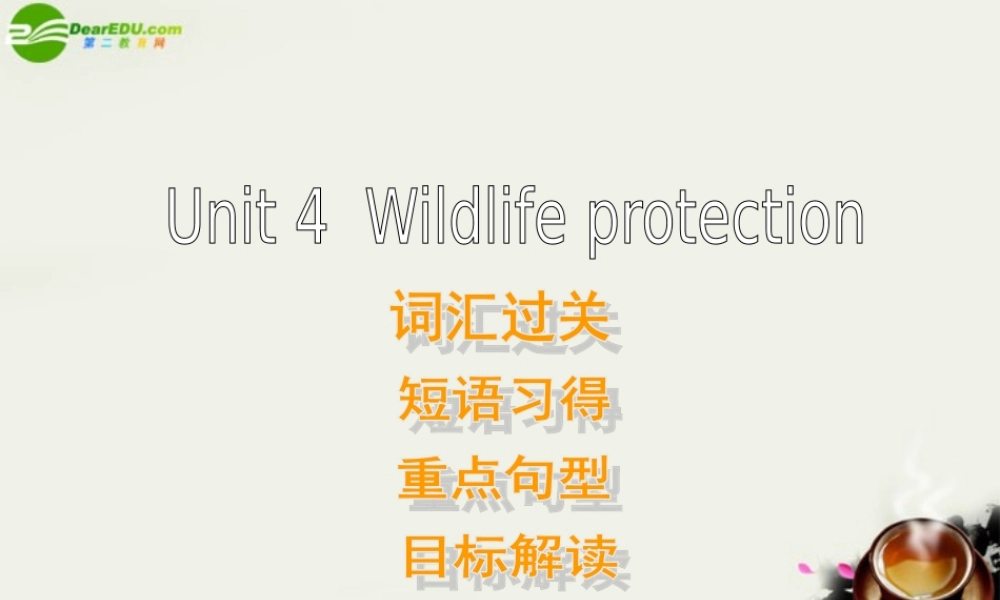 高中英语 Unit 4( Wildlife Protection )复习课件 新人教版必修2 课件