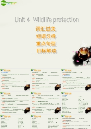 高中英语 Unit 4( Wildlife Protection )复习课件 新人教版必修2 课件