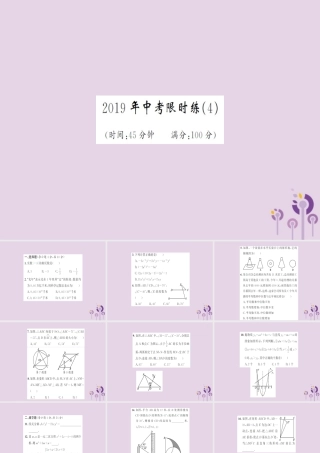 湖北省中考数学 限时练(4)习题练课件