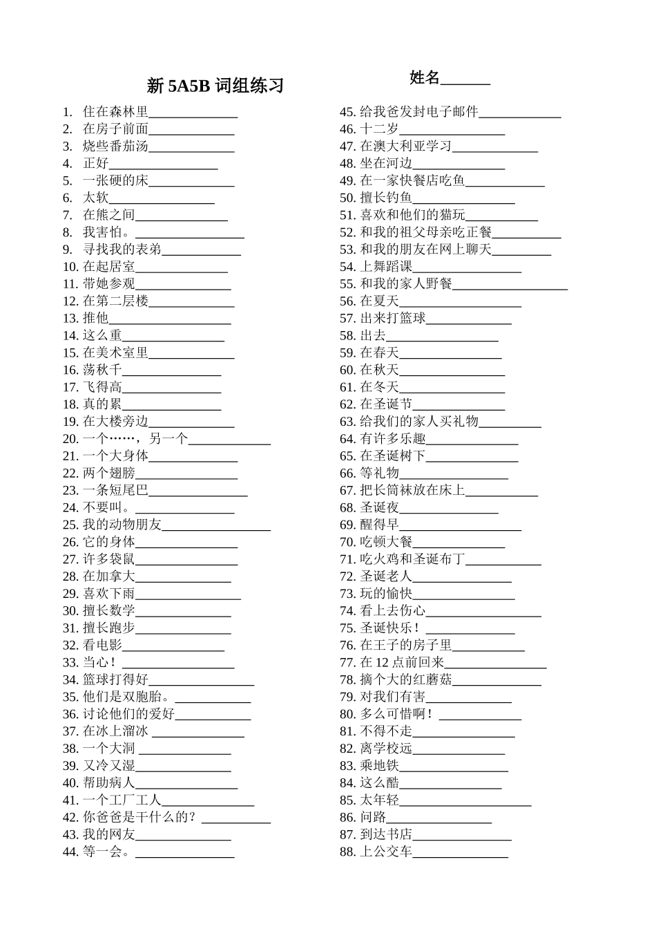 新5A5B词组练习_第1页