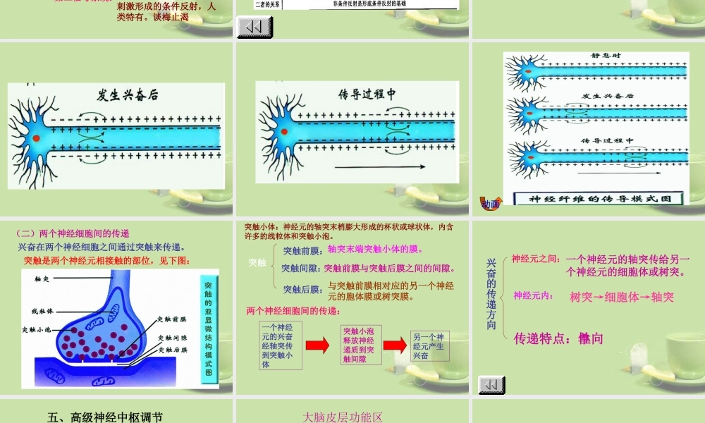 甘肃省会宁县七年级生物下册(神经调节)课件