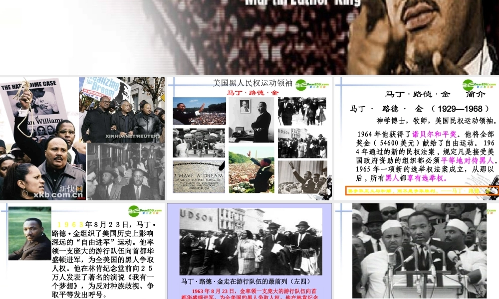 高中语文(我有一个梦想)课件 新人教版必修2 课件