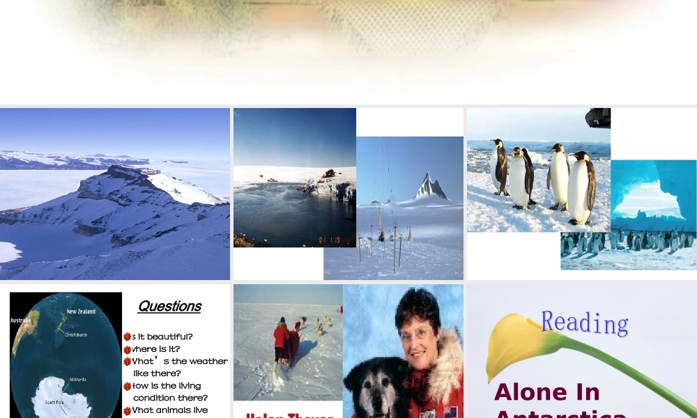 高中英语Unit 17 Great women-reading课件旧人教第一册下 课件