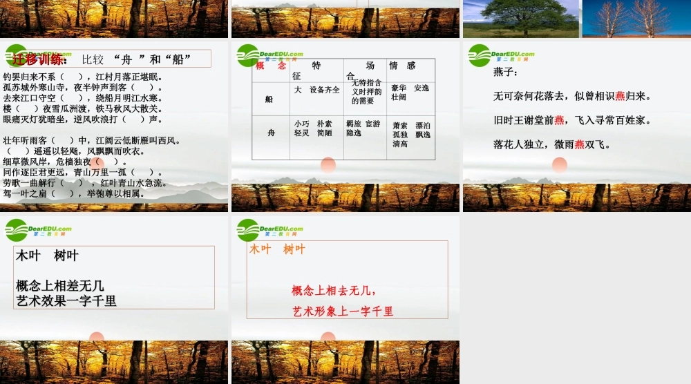 高中语文(说木叶)公开课教学课件 人教版第二册 课件