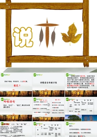 高中语文(说木叶)公开课教学课件 人教版第二册 课件