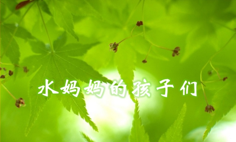 《水妈妈的孩子们》课件2