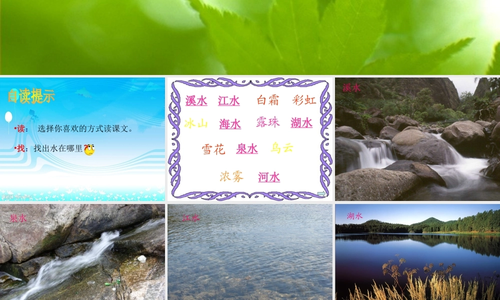 《水妈妈的孩子们》课件2