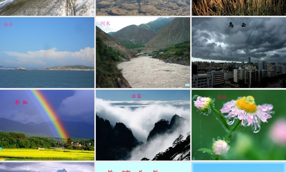 《水妈妈的孩子们》课件2