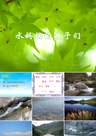 《水妈妈的孩子们》课件2