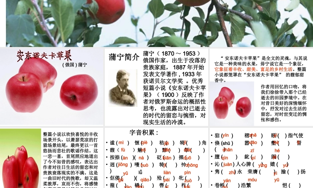 高中语文：(安东诺夫卡苹果)教学课件新人教版选修系列 课件