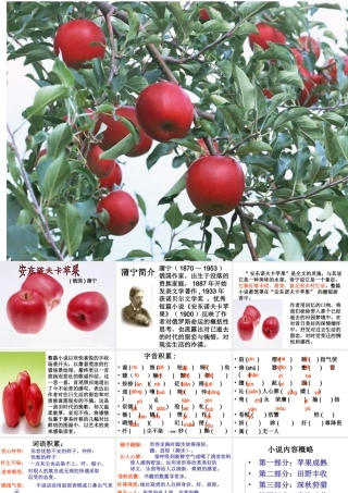 高中语文：(安东诺夫卡苹果)教学课件新人教版选修系列 课件