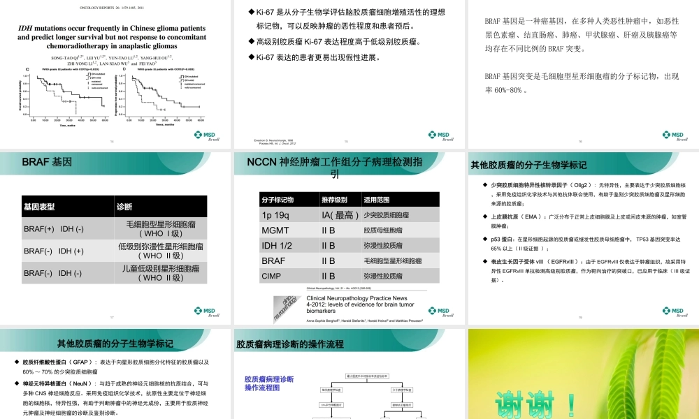 胶质瘤分子学生物标记物