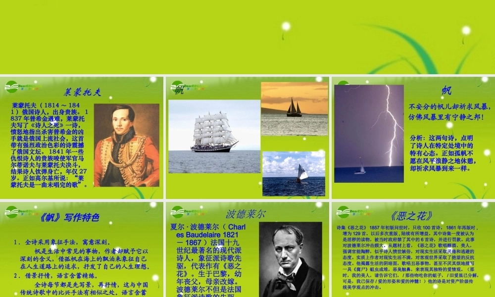 高中语文 (帆 信天翁)课件　语文版必修5 课件