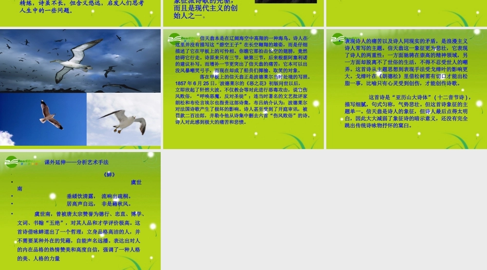 高中语文 (帆 信天翁)课件　语文版必修5 课件