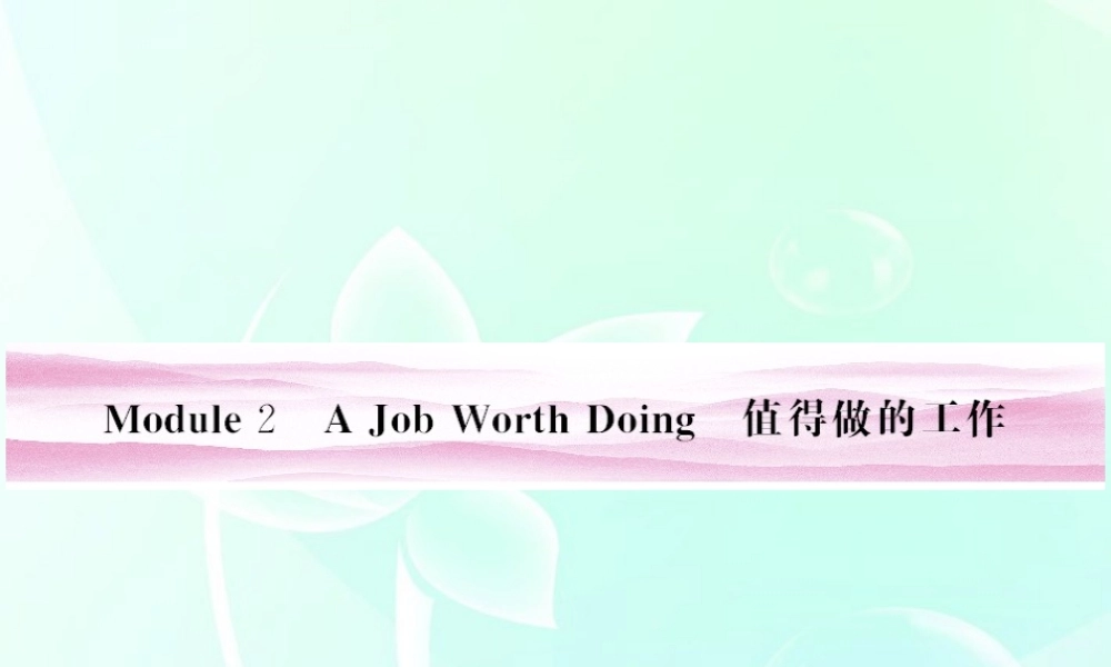 高考英语 Module 2　A Job Worth Doing课件 外研版必修5 课件