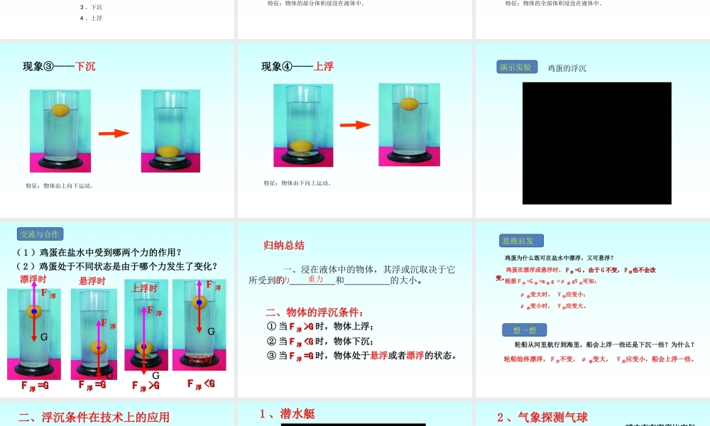 3.研究物体的浮沉条件