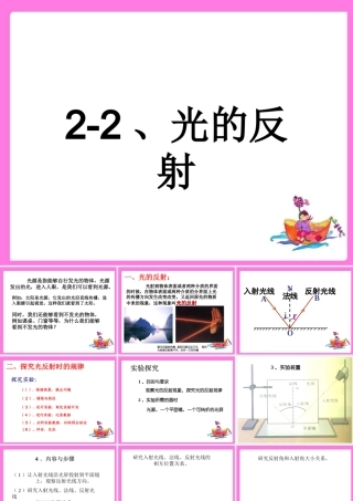 143光的反射