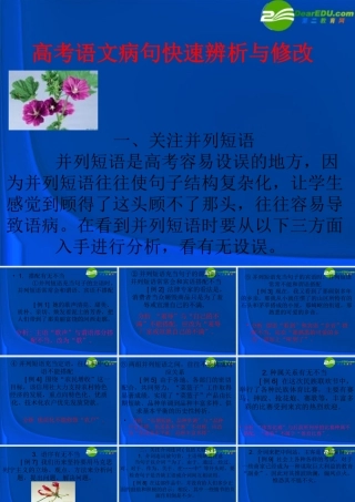 高考语文 语病类型及相关知识梳理课件 新人教版 课件