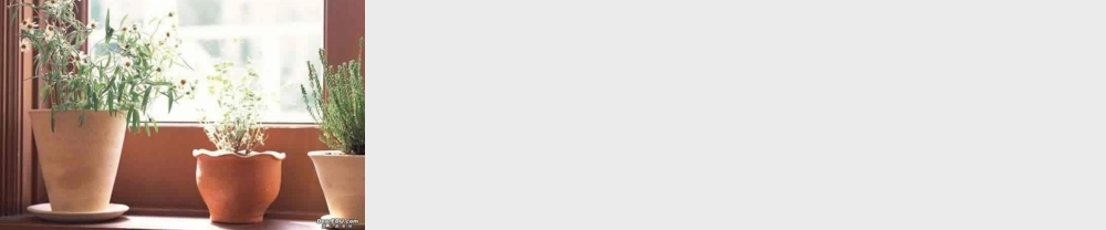 高考英语专题复习之直接引语和间接引语 新课标 人教版 试题