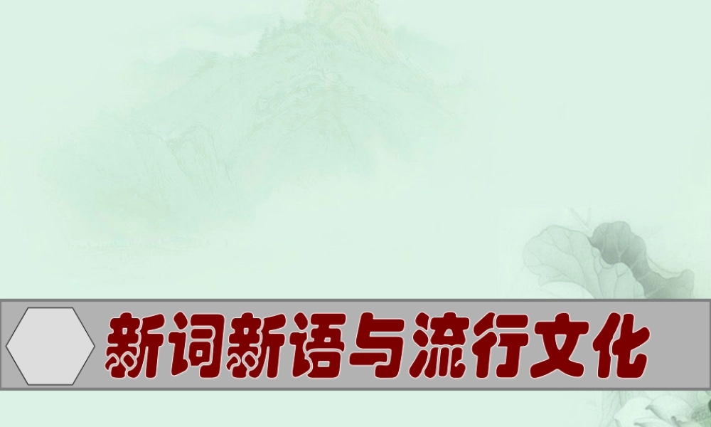 高一语文 新词新语与流行文化课件 新人教版  课件
