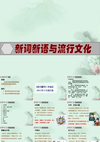 高一语文 新词新语与流行文化课件 新人教版  课件