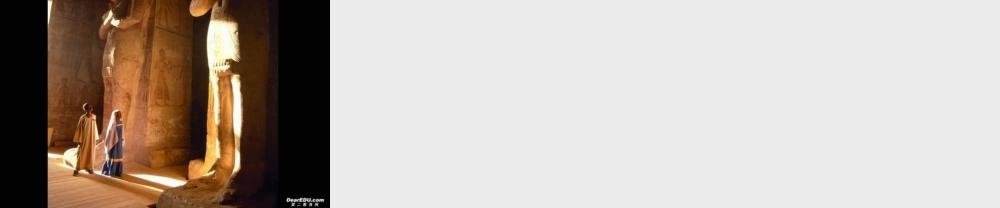 演示文稿1 安徽省高二英语Unit6 life in the future课件(含ppt,视频文件)人教版 安徽省高二英语Unit6 life in the future课件(含ppt,视频文件)人教版