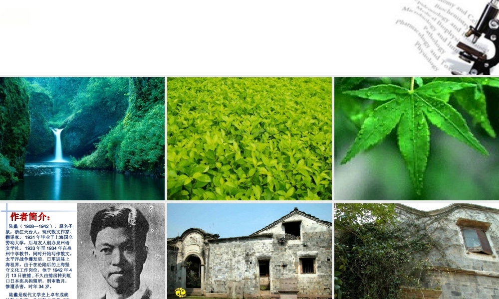 高中语文 第一单元之(囚绿记)课件(1) 新人教版必修2 课件