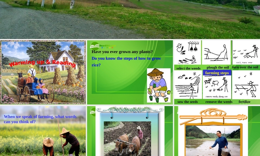 高中英语：working the land课件 人教版必修4 课件