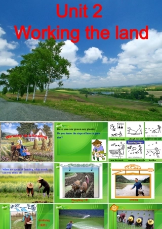 高中英语：working the land课件 人教版必修4 课件