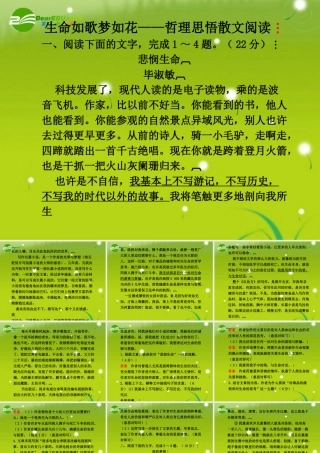 高考语文 哲理散文类文本专题课件