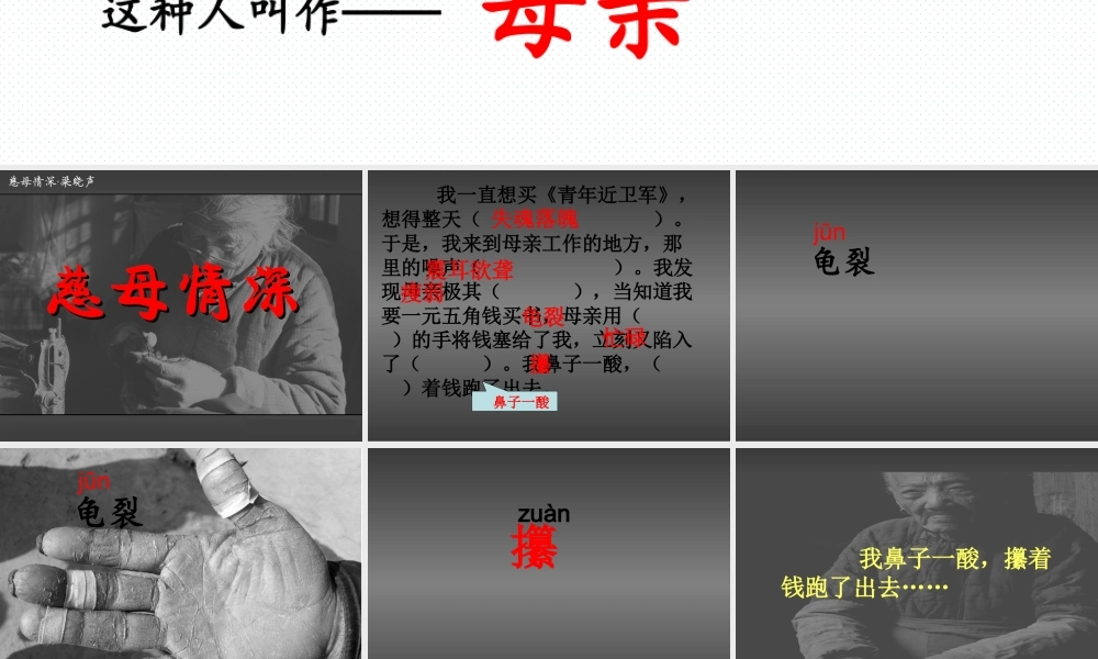 张小凤《慈母情深》课件