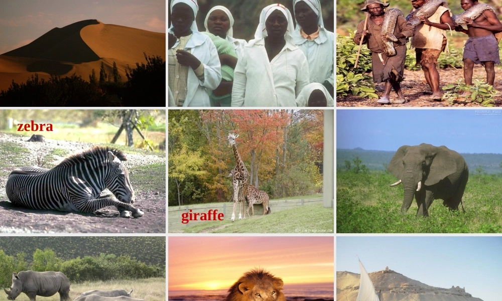 高中英语Unit2 Wish you were here－Reading ppt 课件