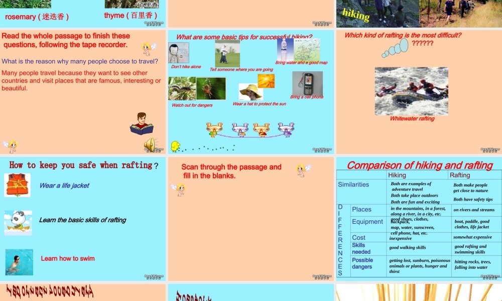 高一英语unit3 Adventure Travel 新课标 人教版 课件