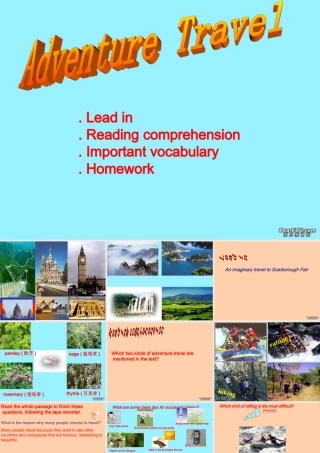 高一英语unit3 Adventure Travel 新课标 人教版 课件